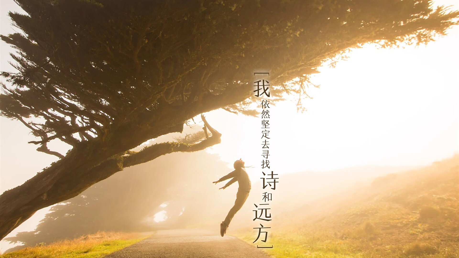 世界游泳接力技术统计平台赛事数据开放第43轮启动,游泳接力冠军名单
